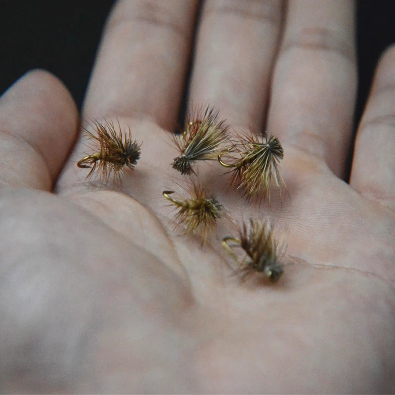 6pcs #14 Brown/Tan Elk Hair Caddis Dry Flies – 2 Styles