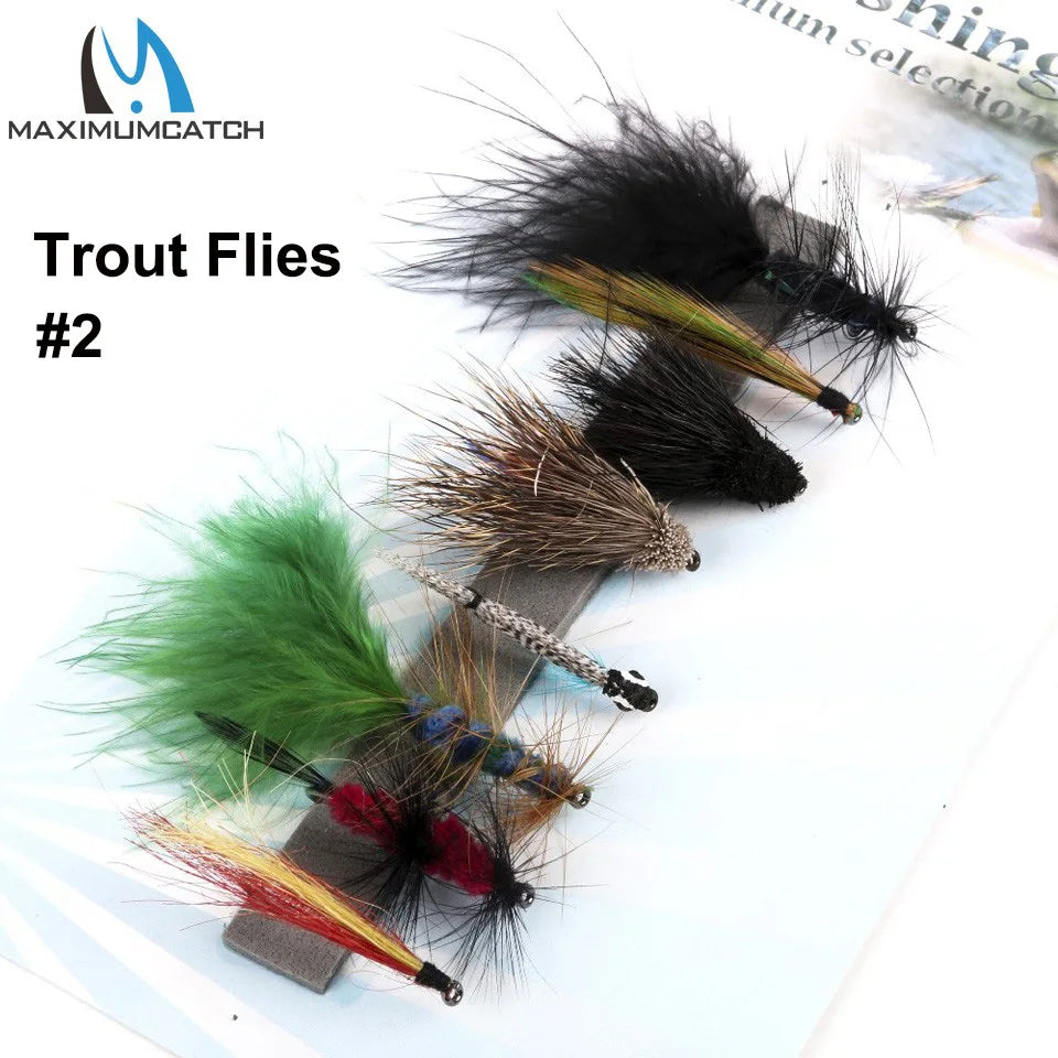 Maximumcatch Fly Fishing Flies Set – Streamer, Dry, Nymph, Wet Flies (#2–#14) for Trout & More