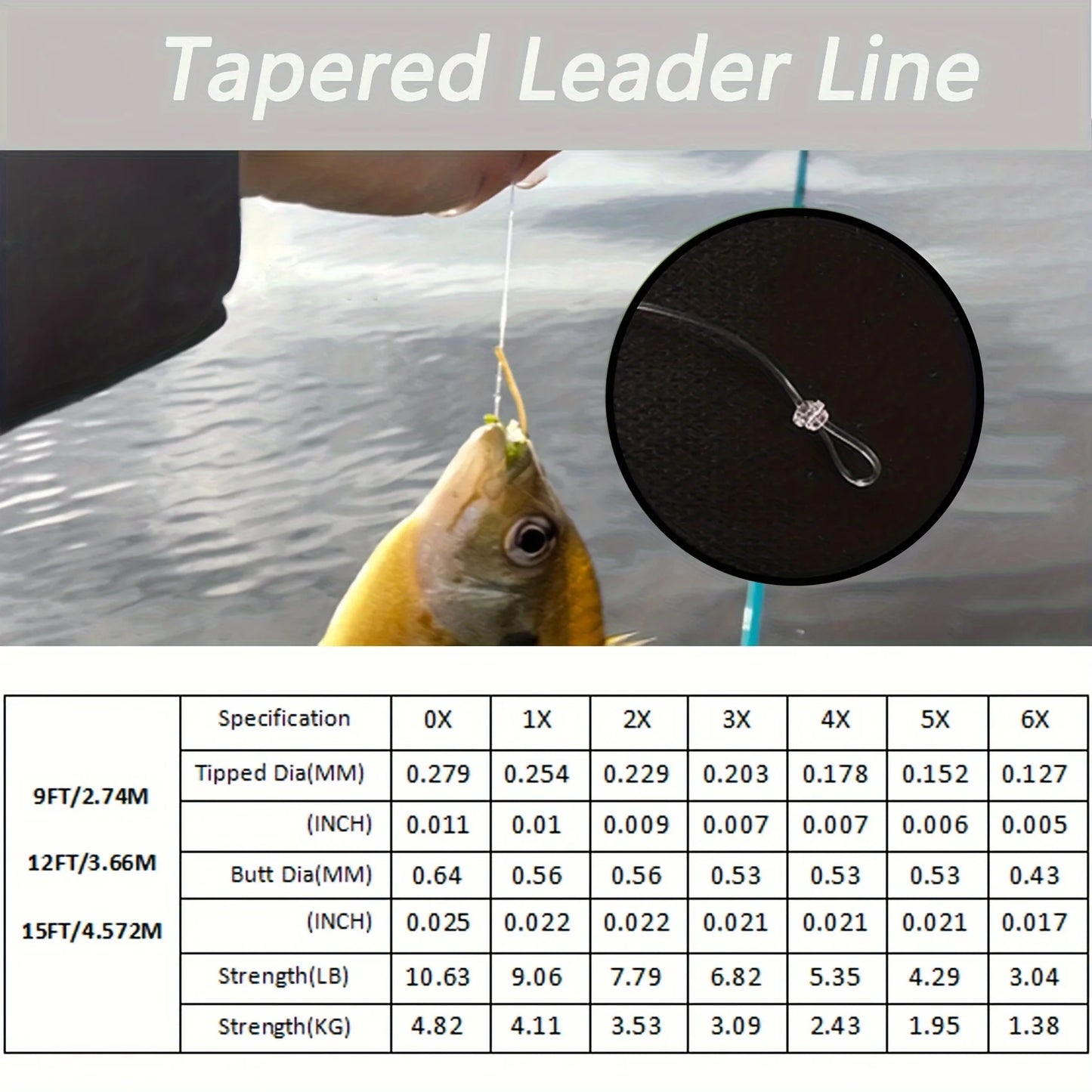 Aventik Pre-Tied Loop Clear Tapered Fly Fishing Leader – 6-Pack