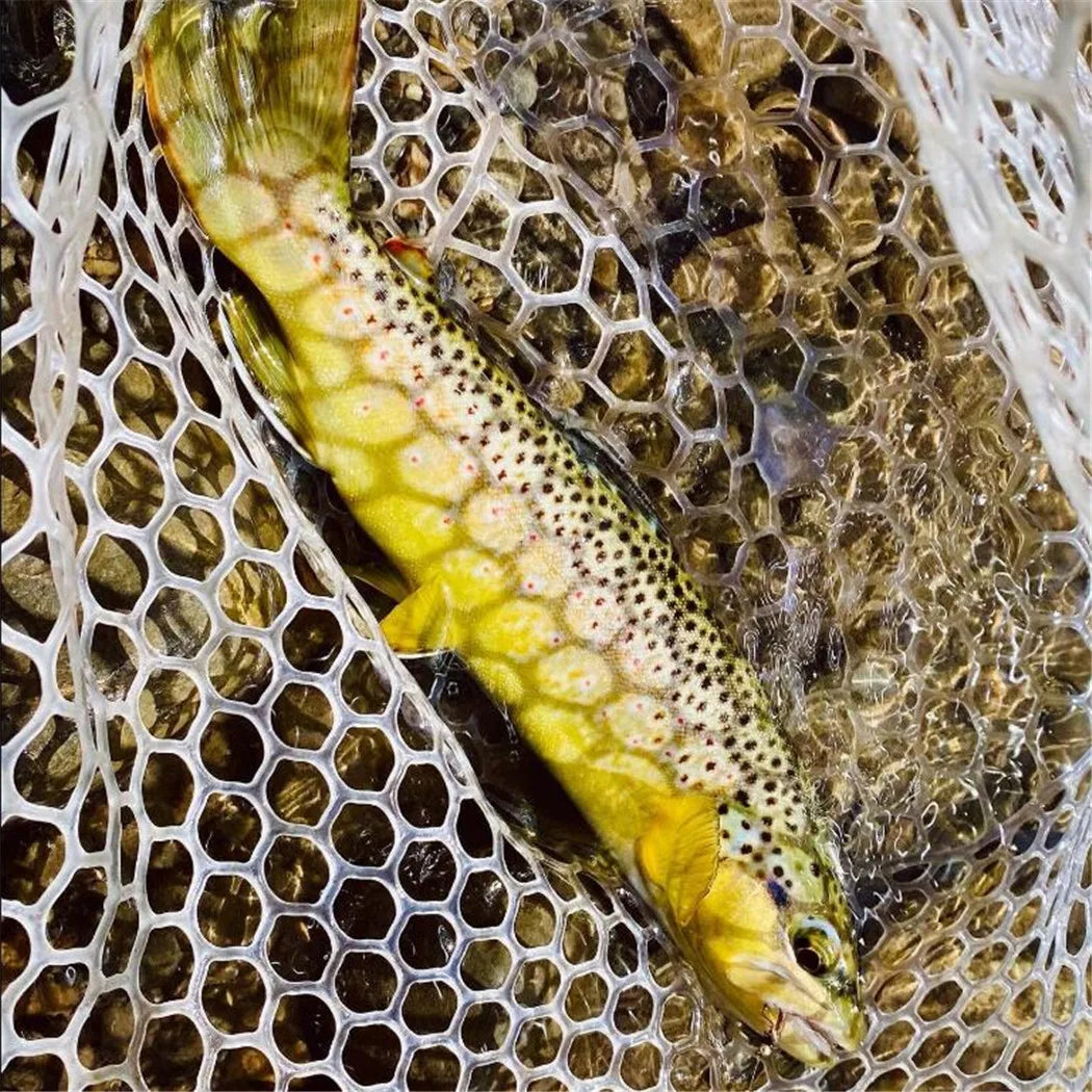 Fast Sinking Tungsten Bead Head Nymph – 6/12/24 Pcs Box